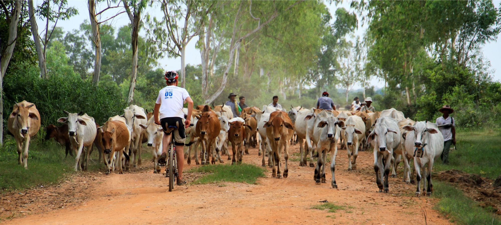 Photos from our Cambodia Cycling Holiday