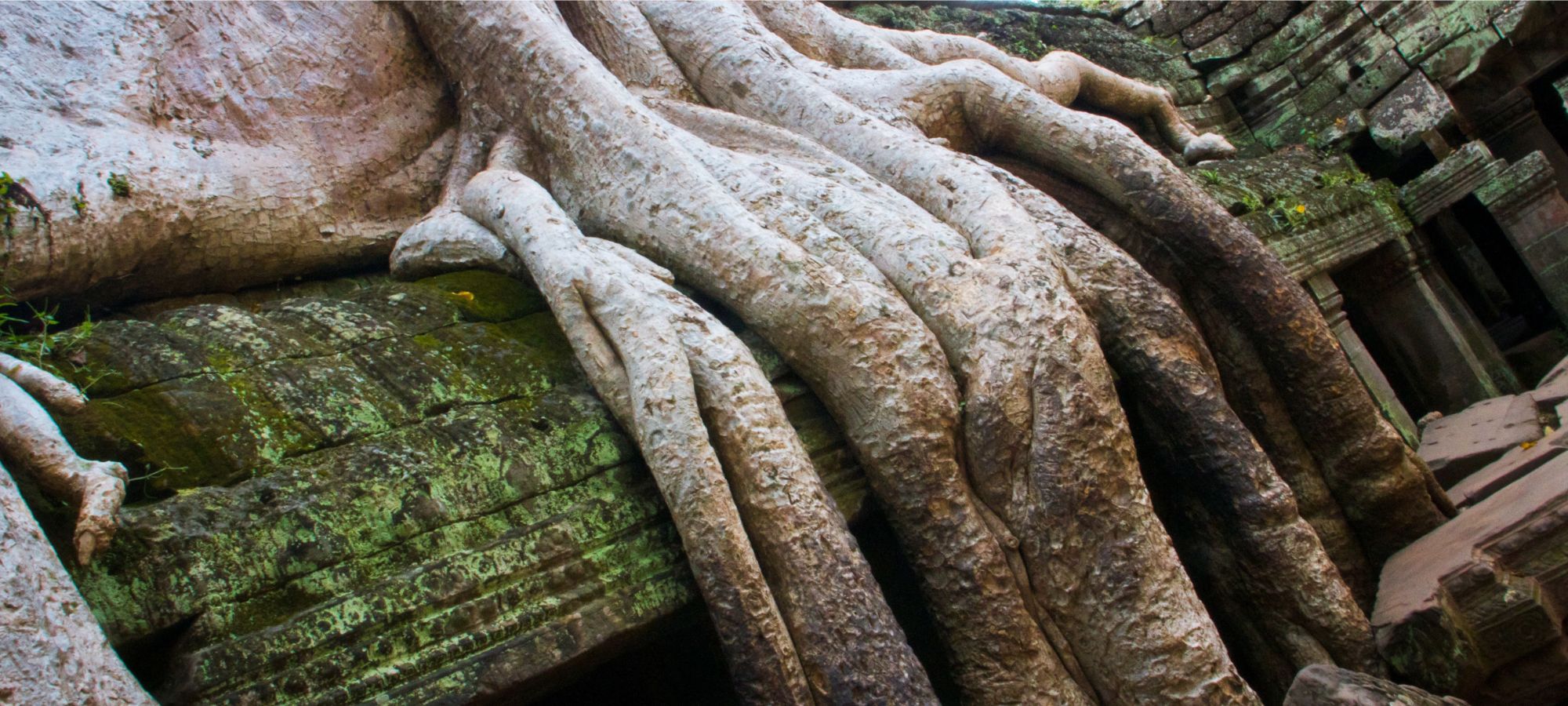cycling tours Cambodia