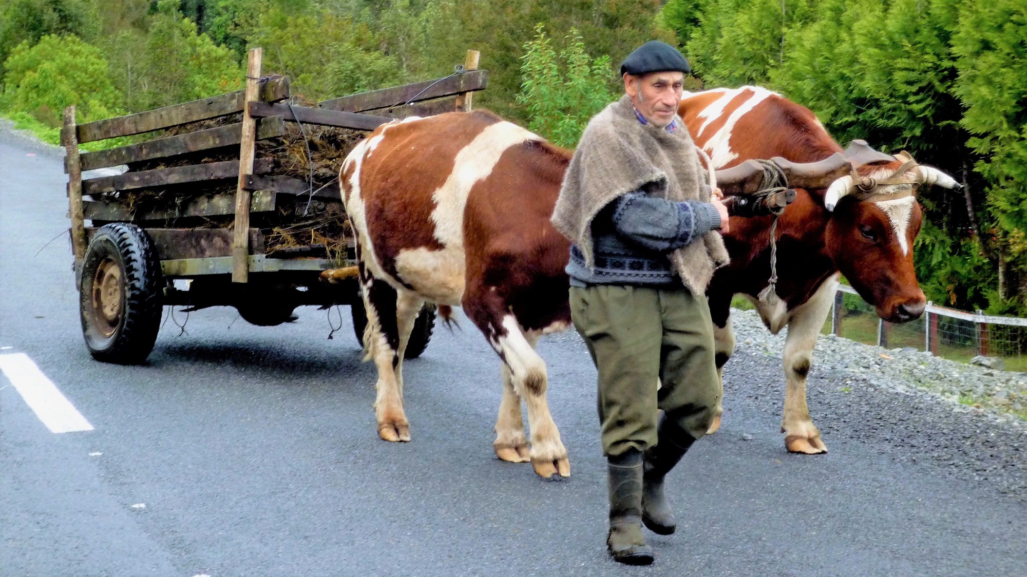 Cycling Holidays Chile - Argentina
