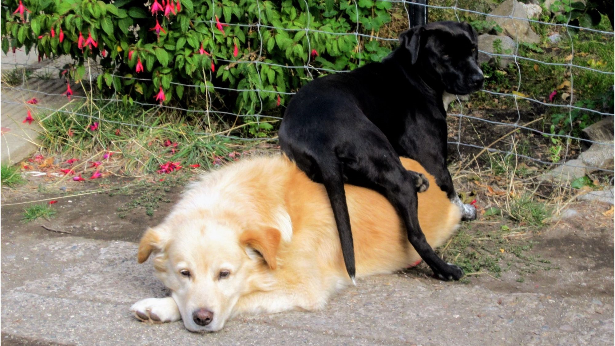 Photos from our Chile & Argentina Cycling Holiday