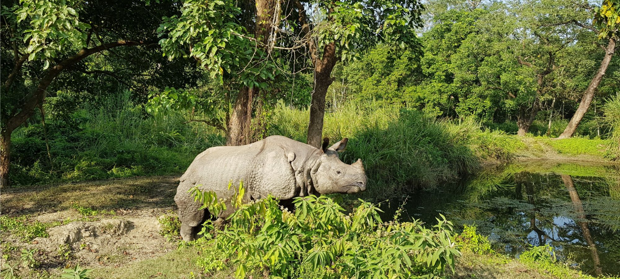 Photos from our Nepal Cycling Holiday