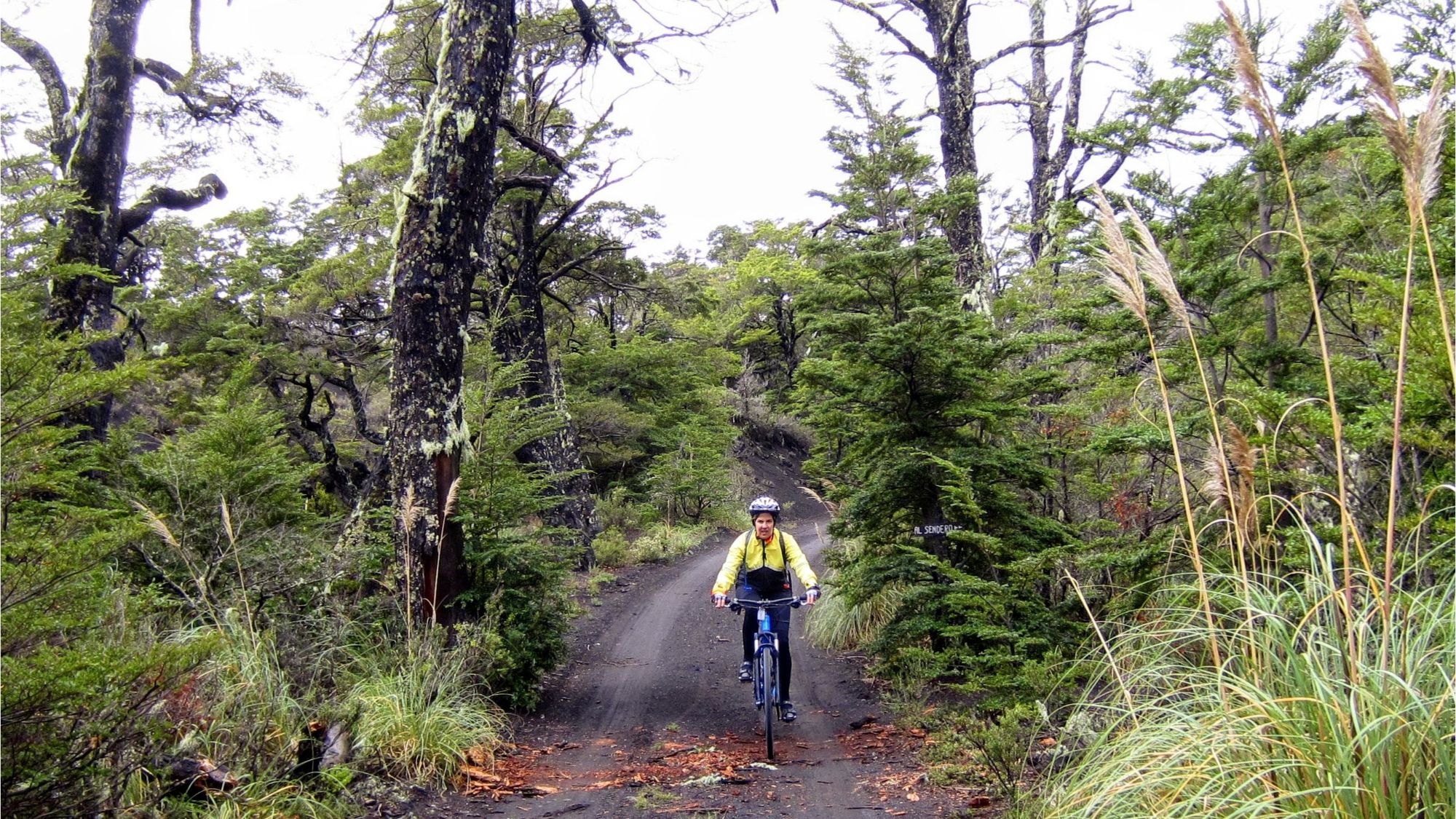 Photos from our Chile & Argentina Cycling Holiday