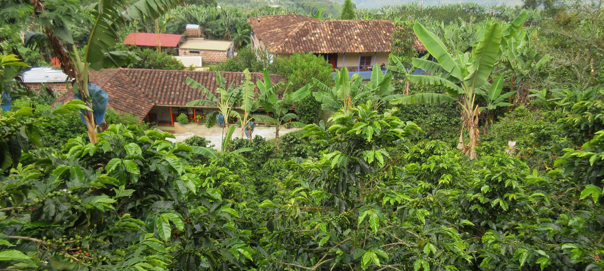 cycling holidays Colombia