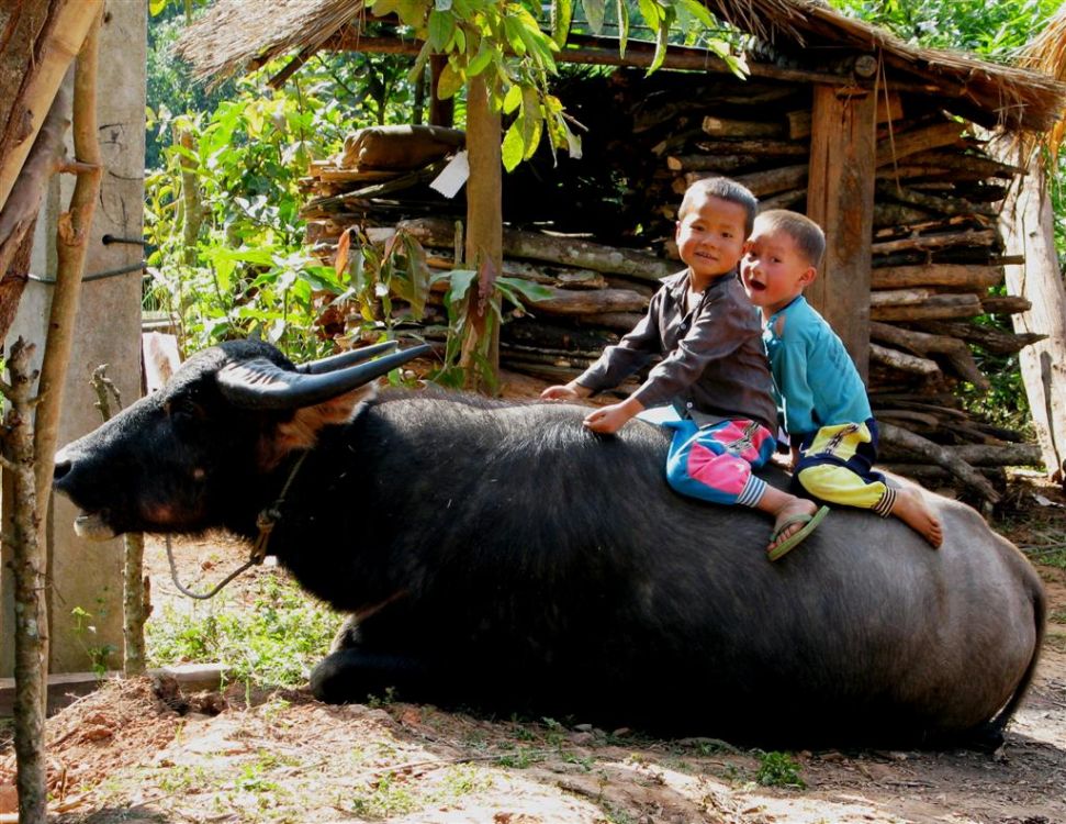 Photos from our Laos - Laung Prabang to Vientiane Cycling Holiday