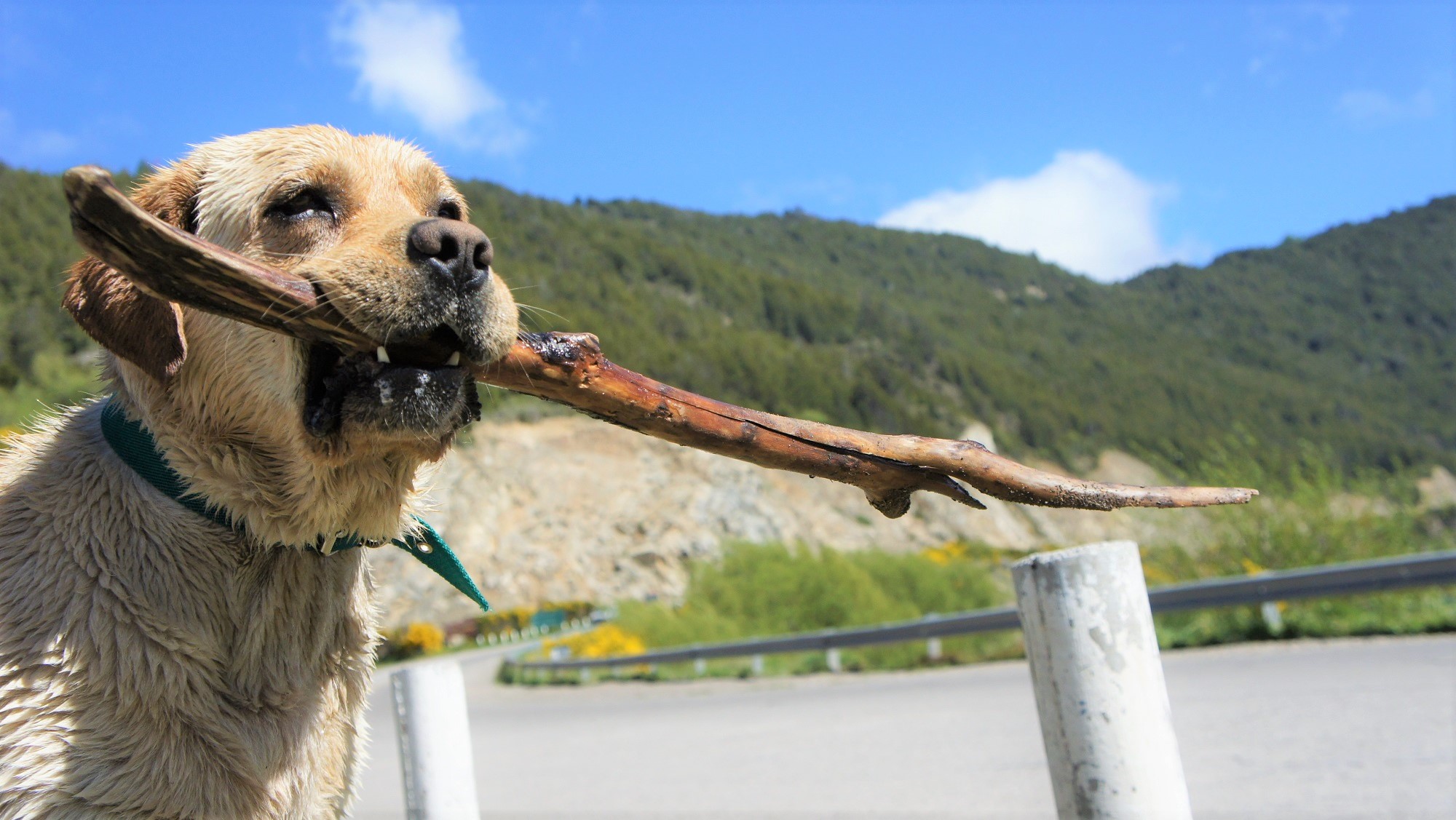 Cycling Holidays Chile - Argentina