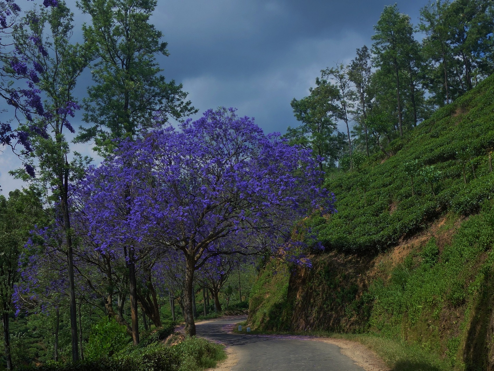 Cycling Holidays Sri Lanka
