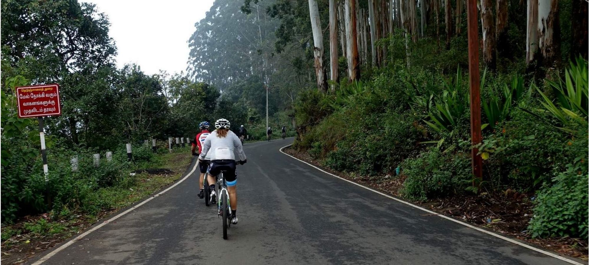 Photos from our India - Kerala Cycling Holiday