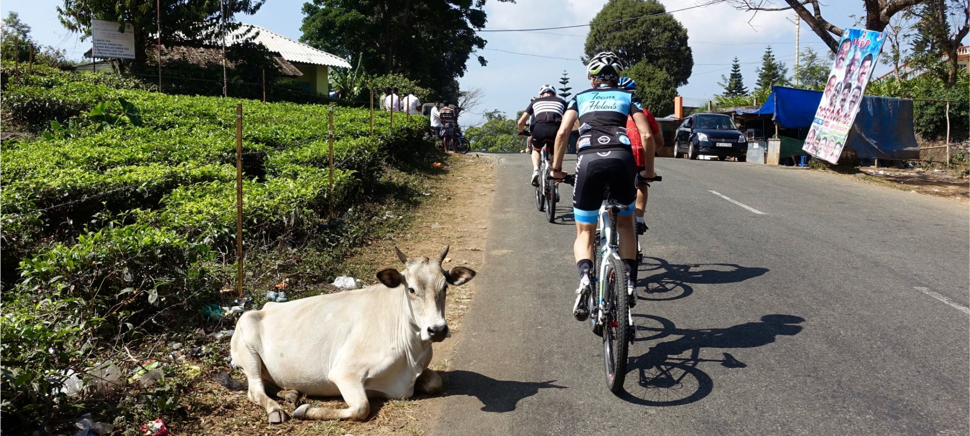 Cycling Holidays - Kerala - Tamil Nadu 