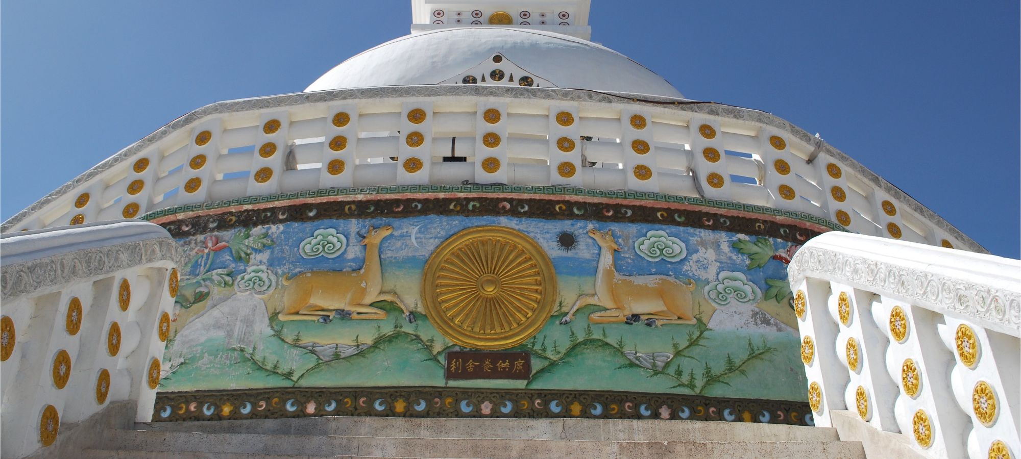 Cycling Holidays India Himalaya