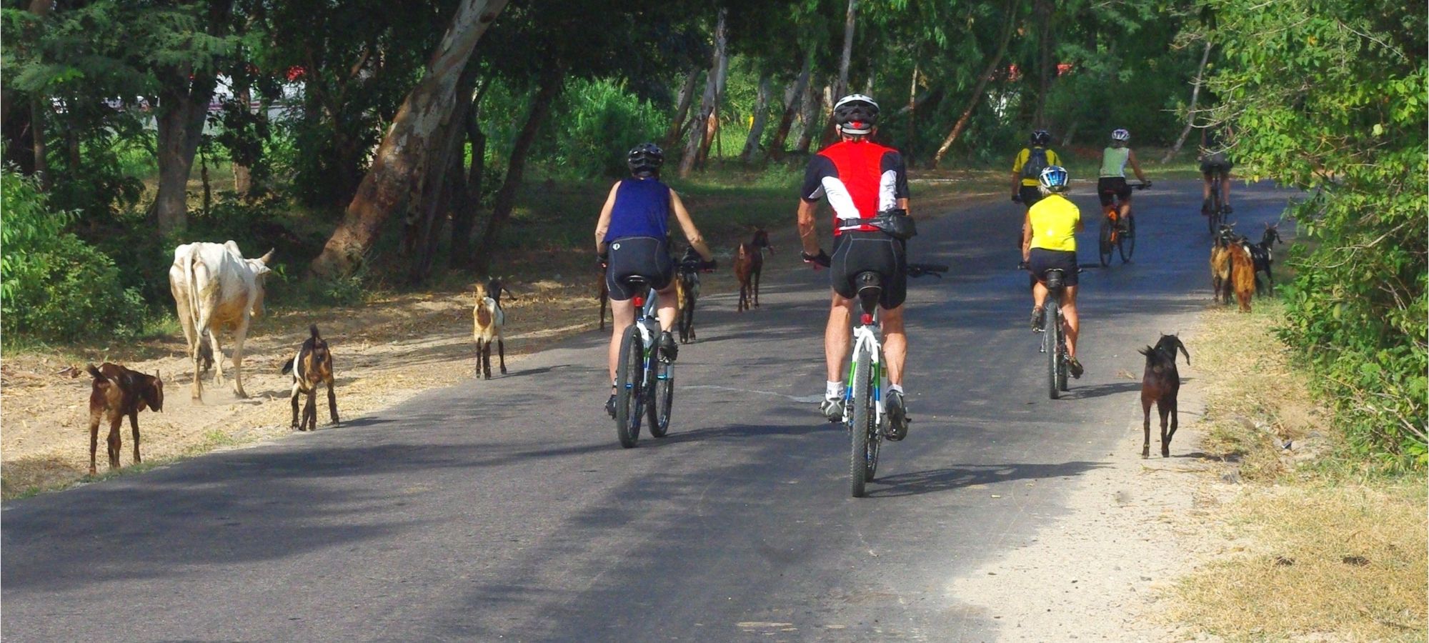 Photos from our Burma - Classic Cycling Holiday