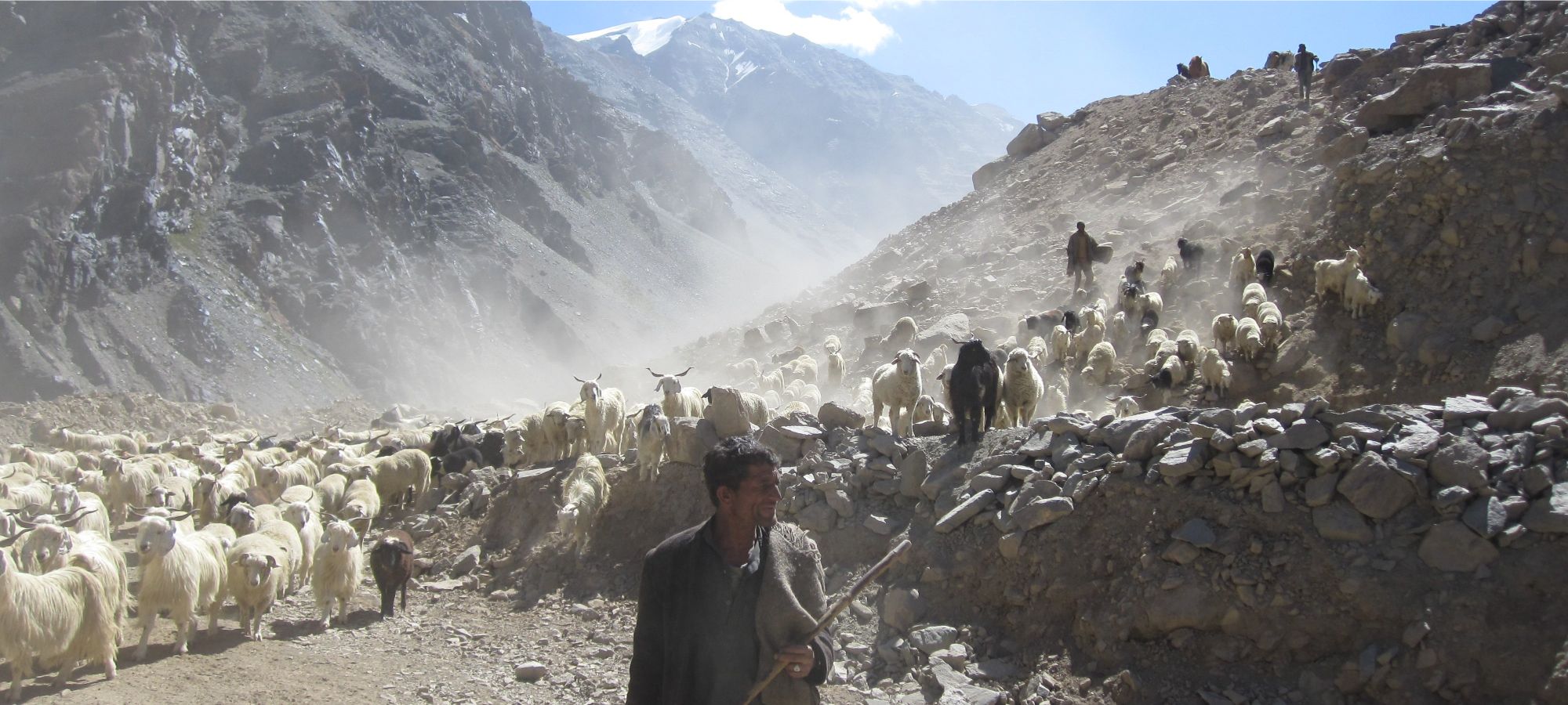 Cycling Holidays India Himalaya