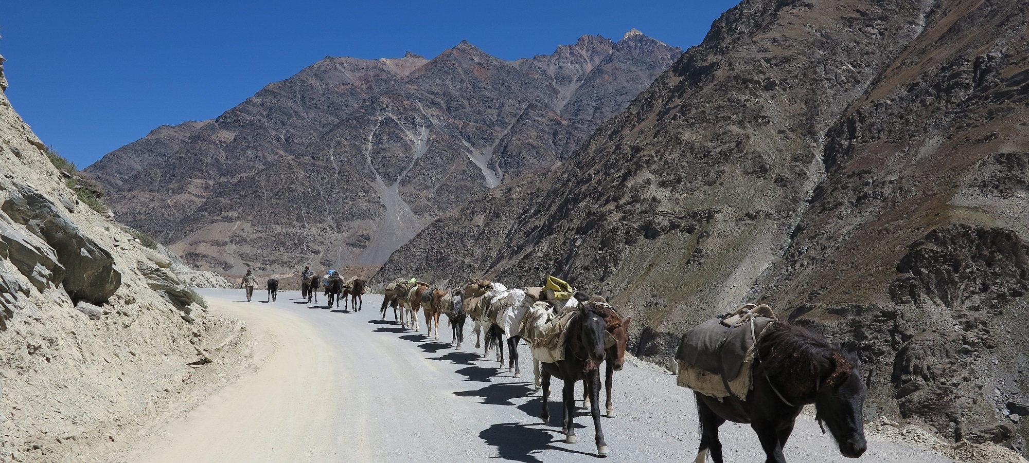 Cycling Holidays Himalaya