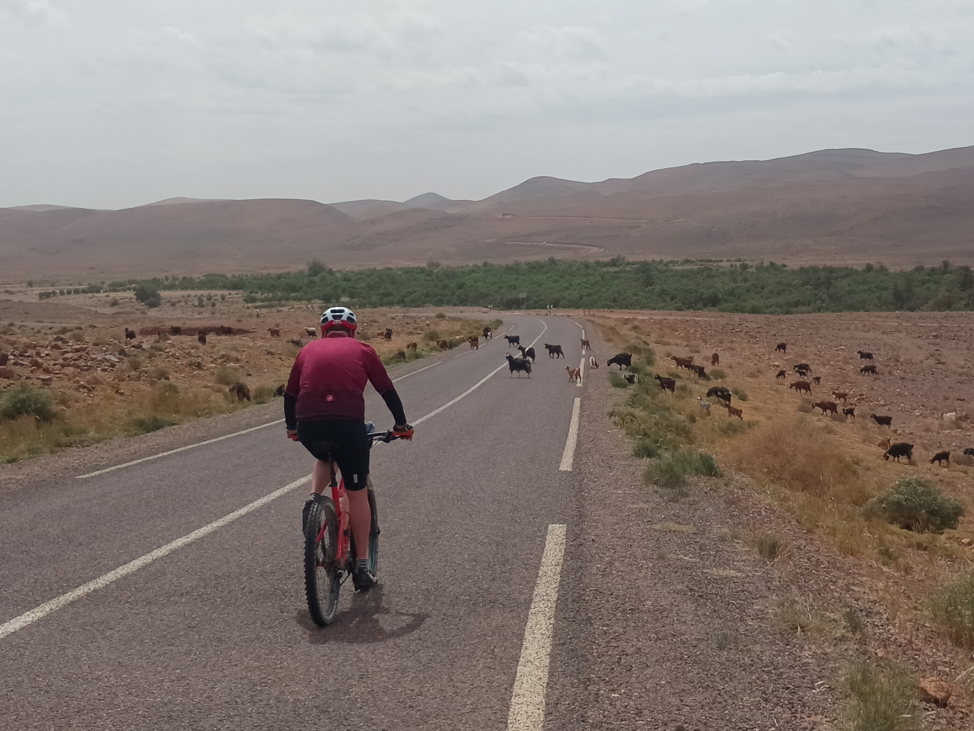 Cycling Tours Morocco