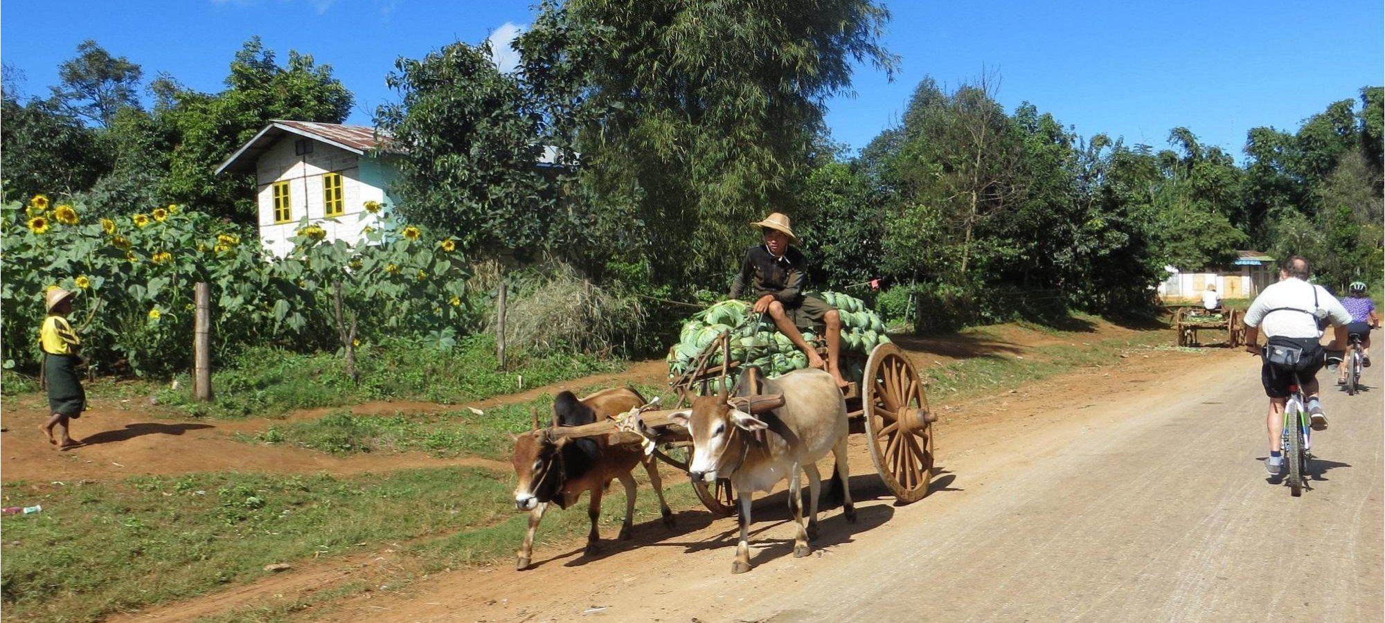 cycling holidays Myanmar