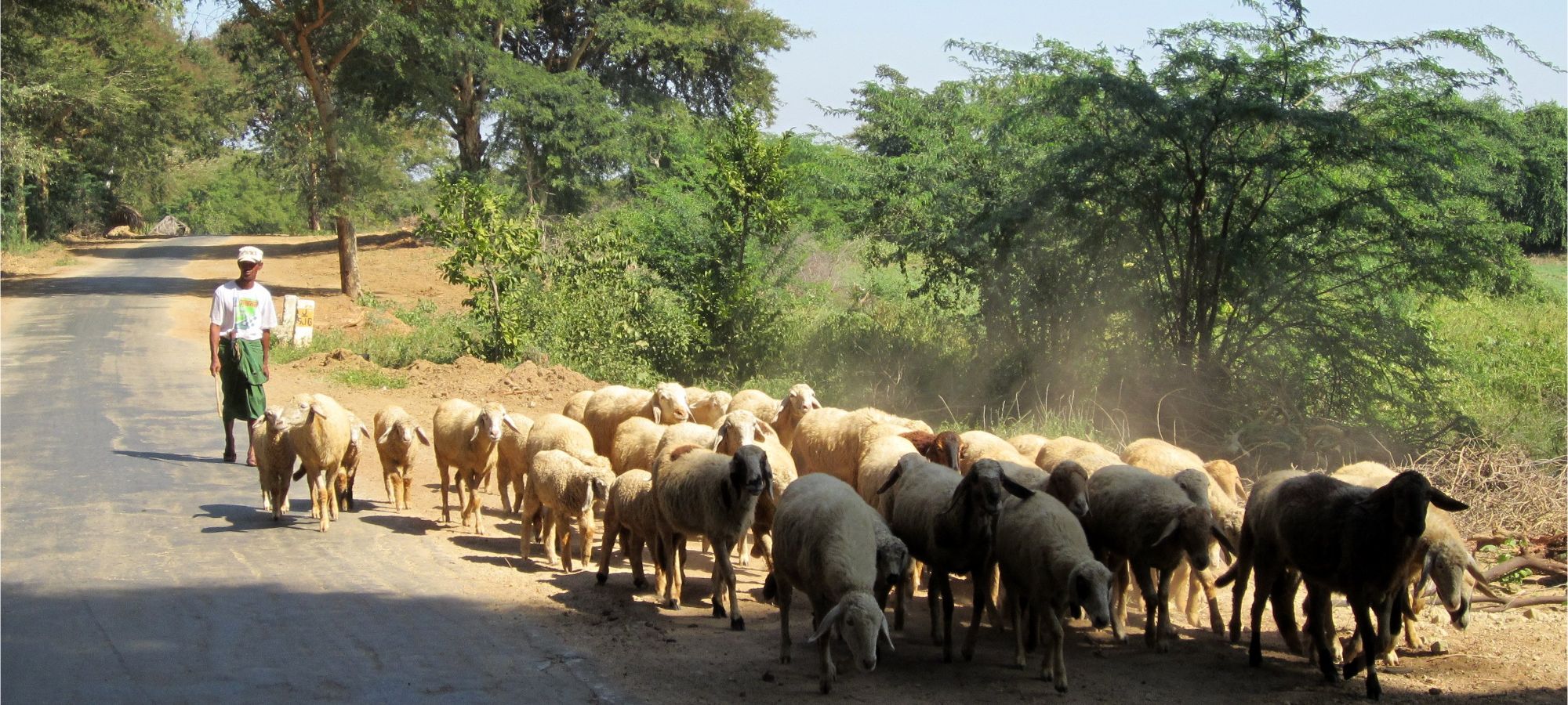 Cycling Holidays Myanmar
