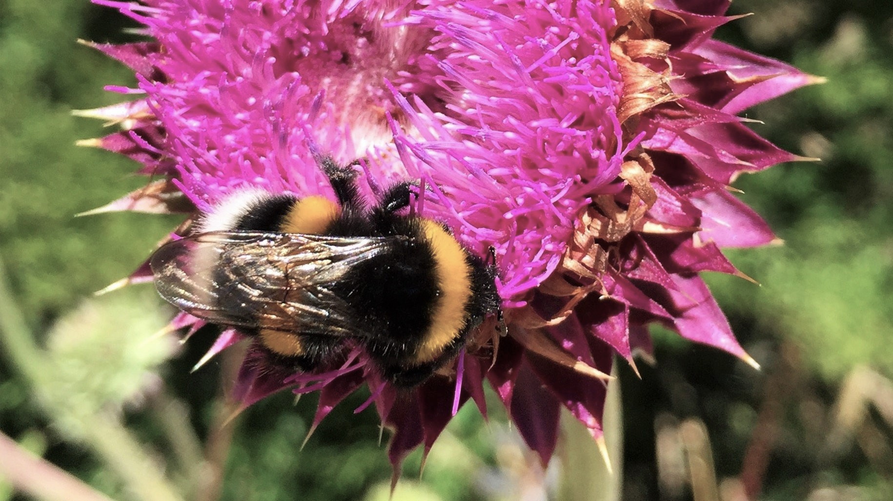 Cycling Tours Chile - Argentina