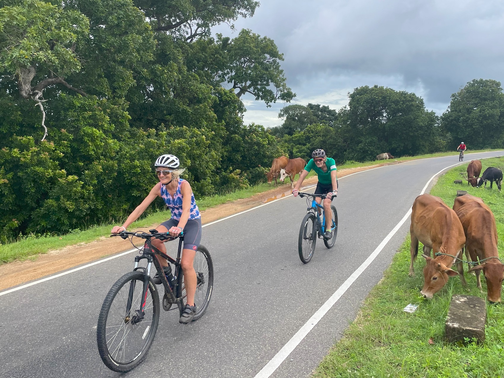 Photos from our Sri Lanka - Classic Cycling Holiday