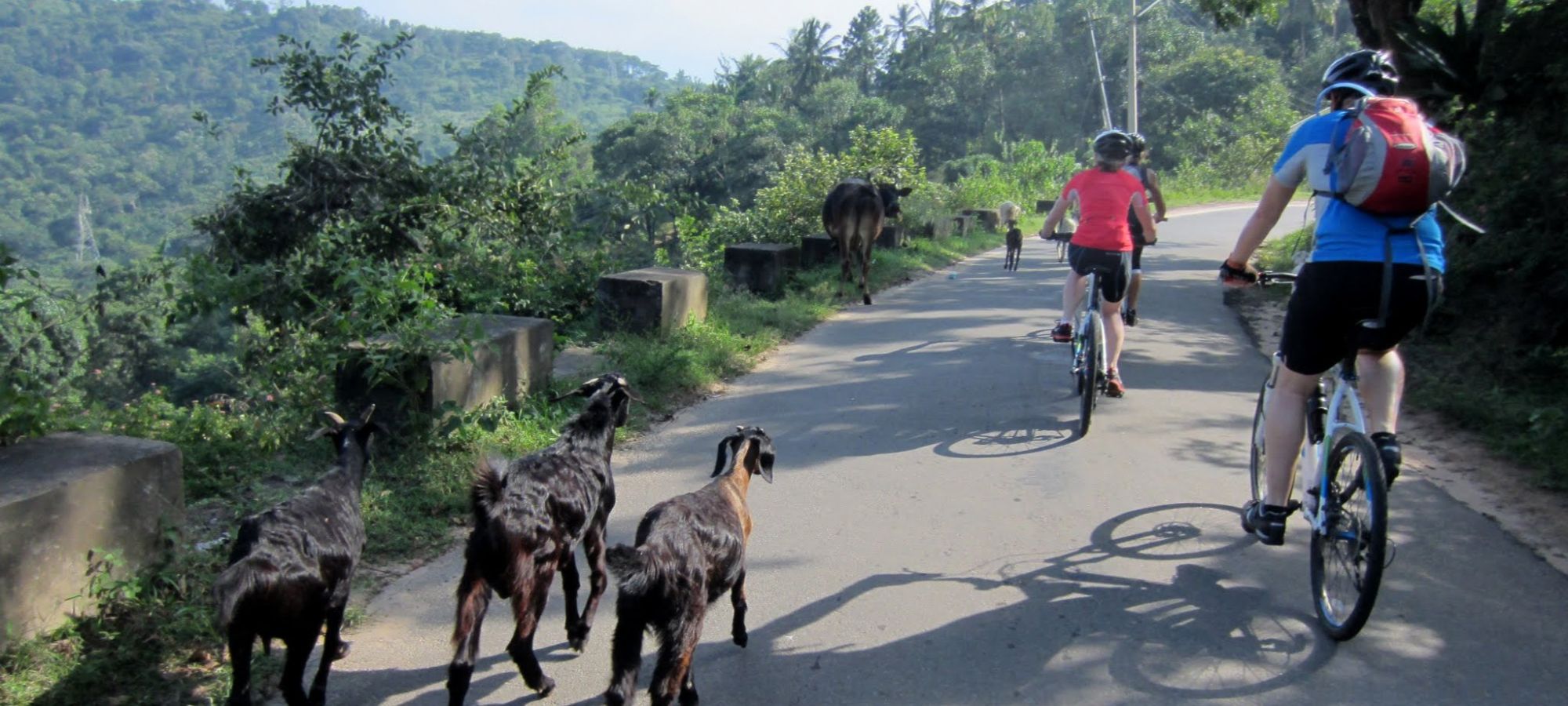 Cycling Holidays - Kerala - Tamil Nadu 