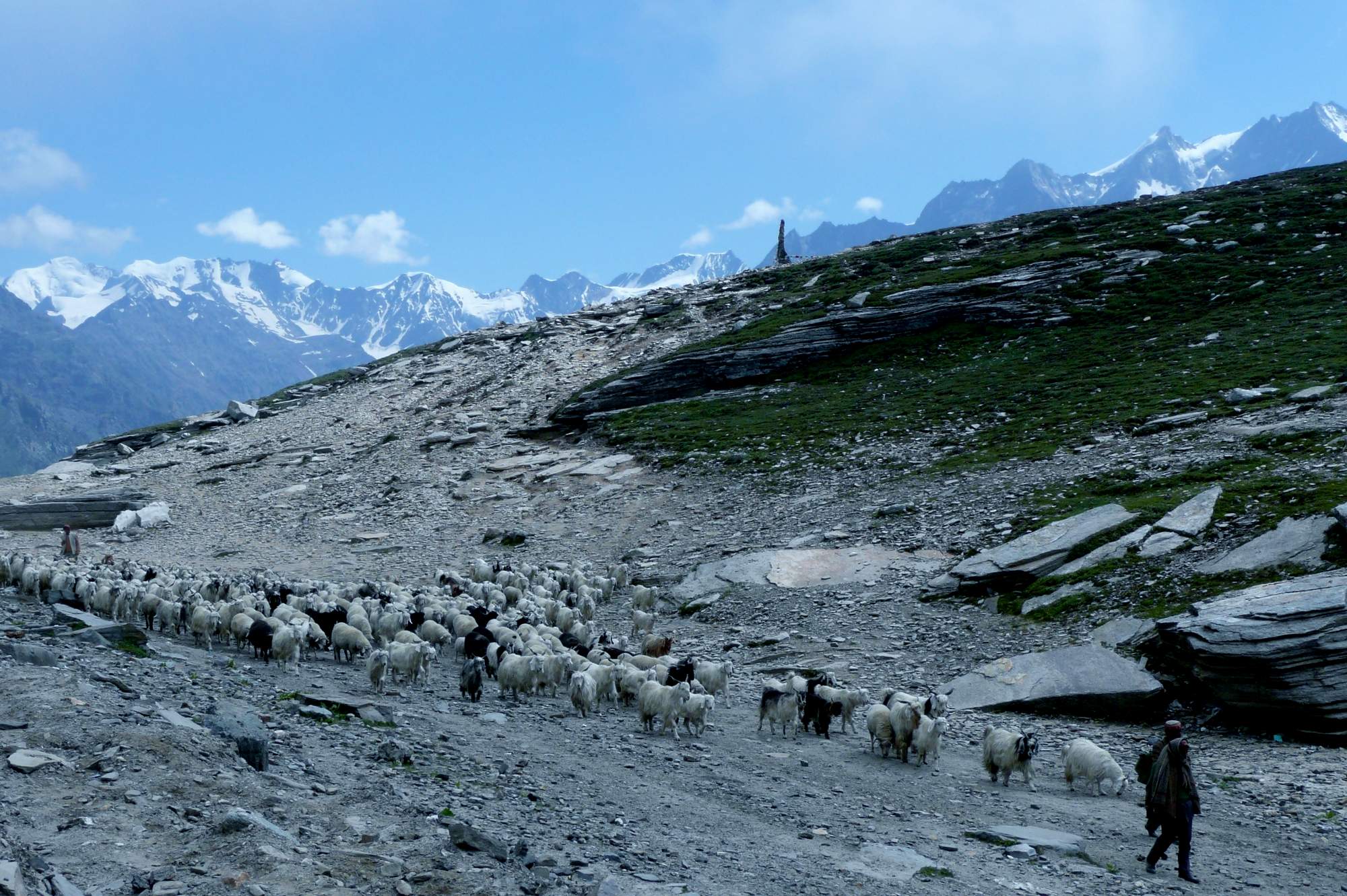 Cycling Taglangla Pass 5,328m