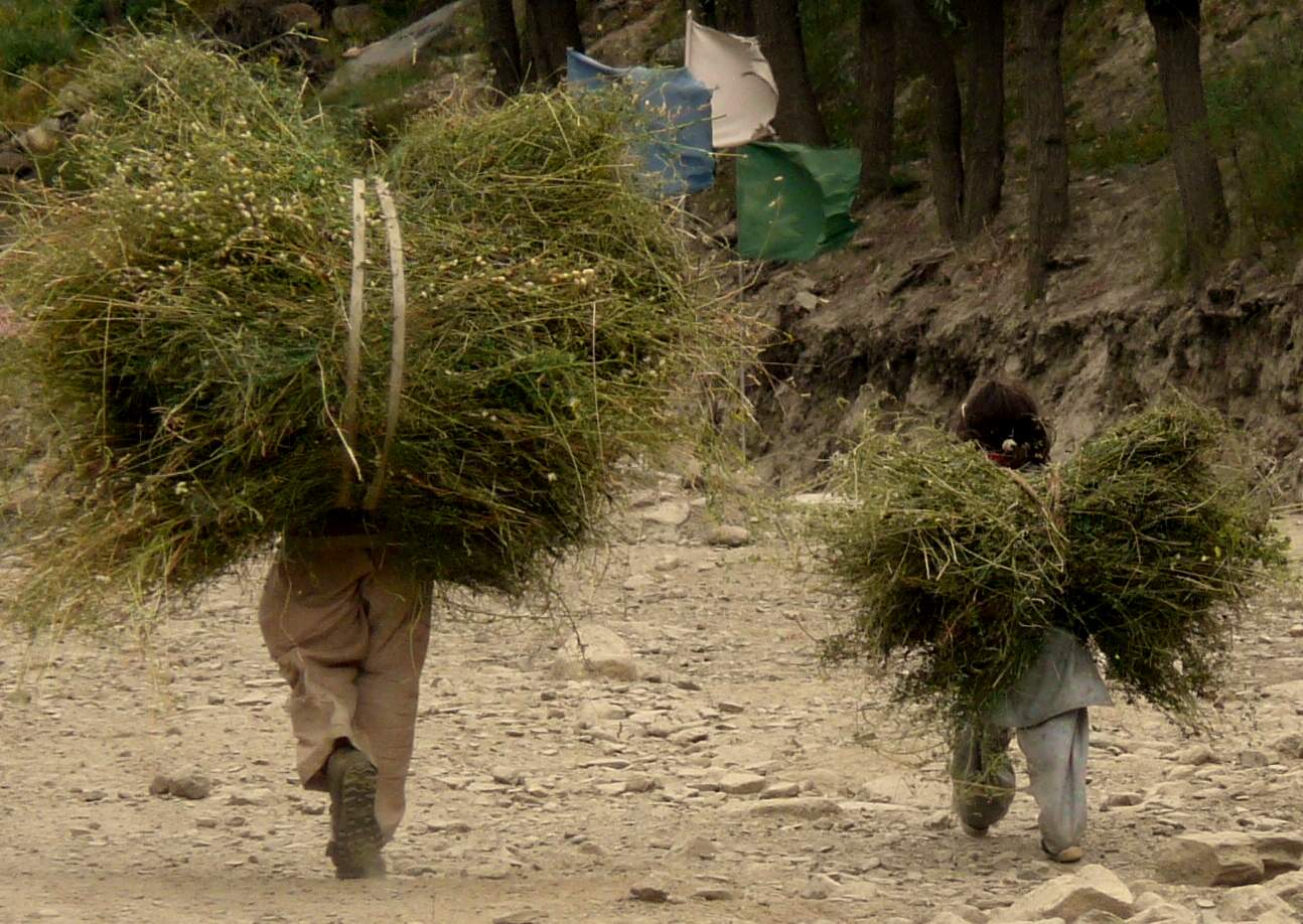 cycling in Zanskar range 