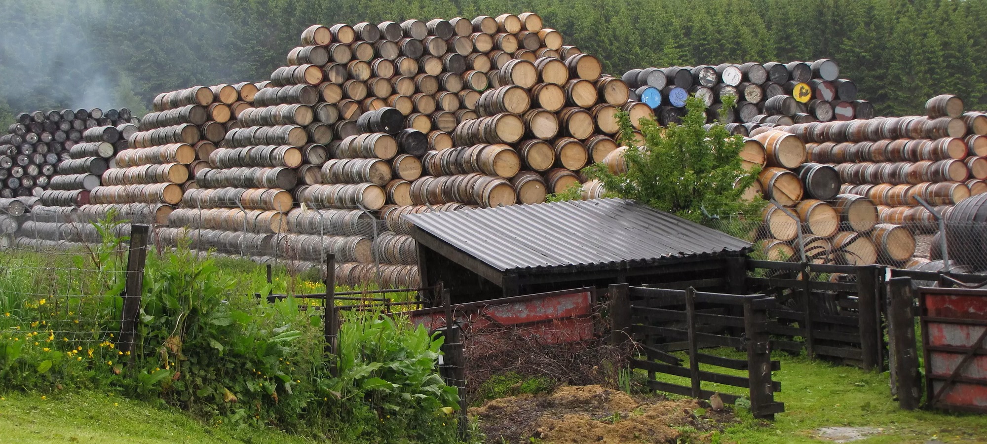 Photos from our Cairngorms & Speyside - Self-Guided Cycling Holiday