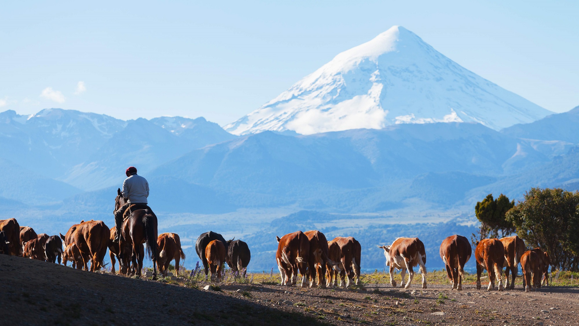 Cycling Holidays Chile - Argentina