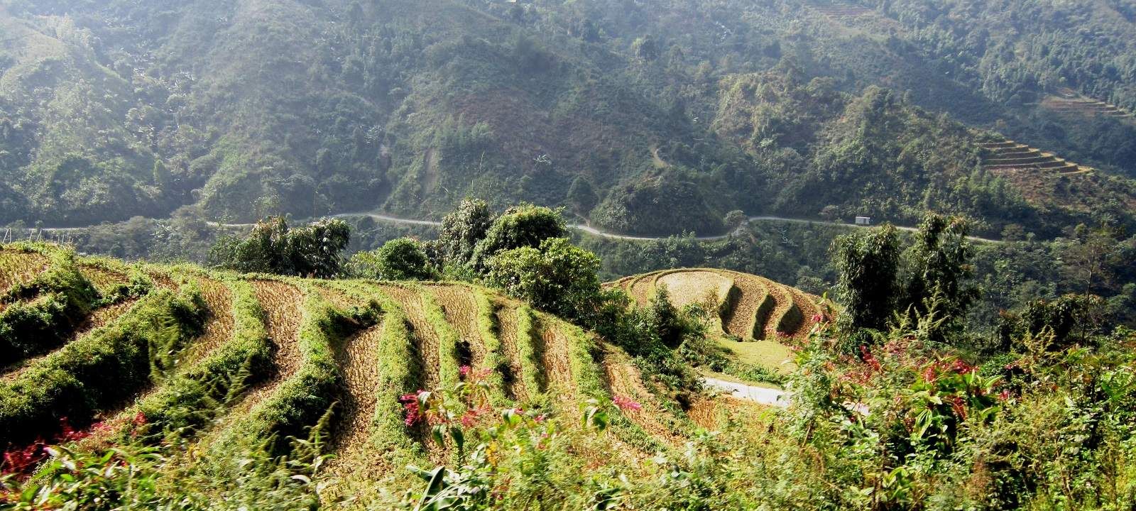 Vietnam is renowned for its beautiful landscape